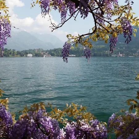 Apartment Penthouse Villa Oleandra *